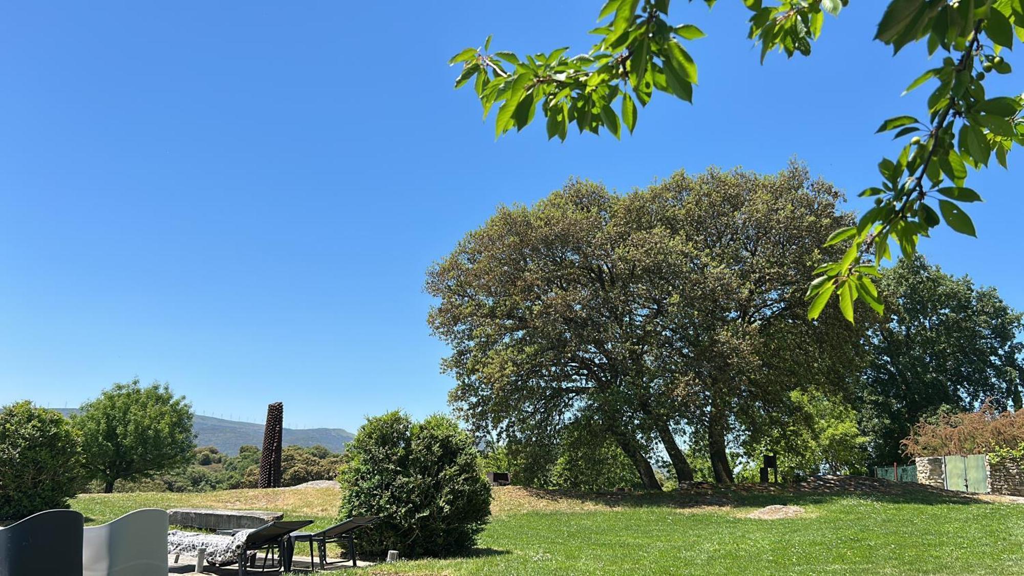 Casa Rural De Un Artista En Plena Naturaleza Piscina Y Parque De Esculturas En Villarcayo Eksteriør billede